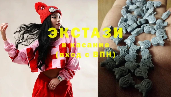 мдпв Верея