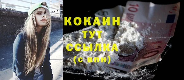 мдпв Верея